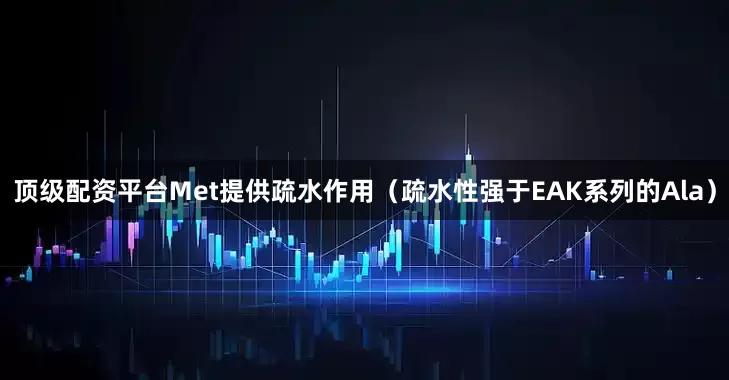 顶级配资平台Met提供疏水作用（疏水性强于EAK系列的Ala）