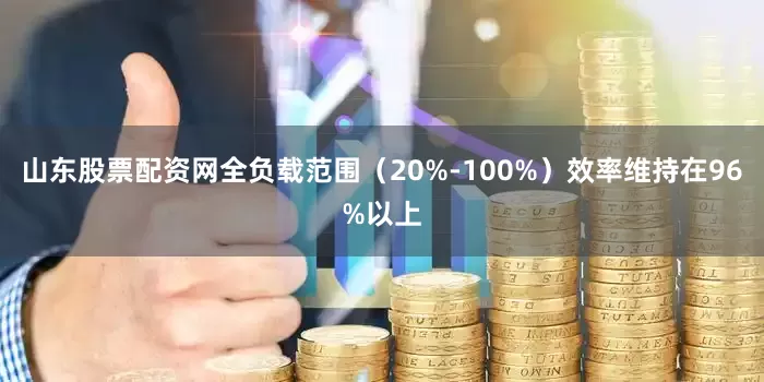 山东股票配资网全负载范围（20%-100%）效率维持在96%以上