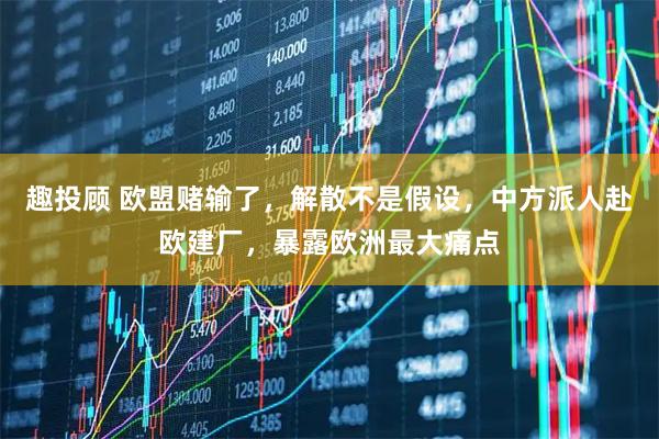 趣投顾 欧盟赌输了，解散不是假设，中方派人赴欧建厂，暴露欧洲最大痛点