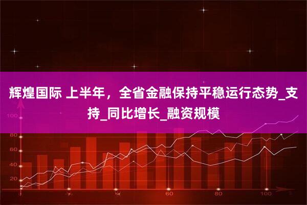 辉煌国际 上半年，全省金融保持平稳运行态势_支持_同比增长_融资规模